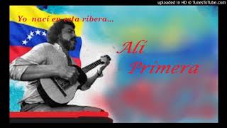 Versión 2 del video