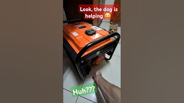 🤔 How to remove the air filter on a generator easy! #generator #diy #michaelstoolbench #