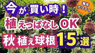 Gardening] Plant in the fall! No hassle and you can leave them