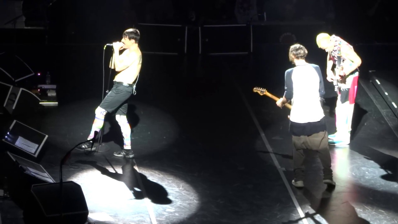 Red Hot Chili Peppers Detroit (live, Vienna, 21.11.2016) YouTube