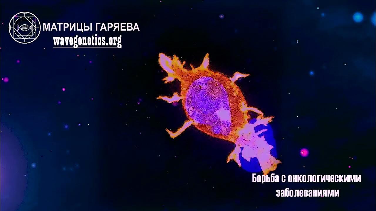 Матрица гаряева холестерин. Матрица гаряева холестерин
