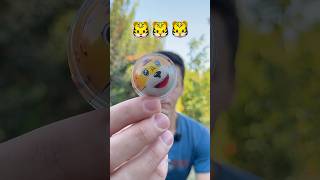 Tiger 🐯 Candy | ASMR in Nature 🌳🍃