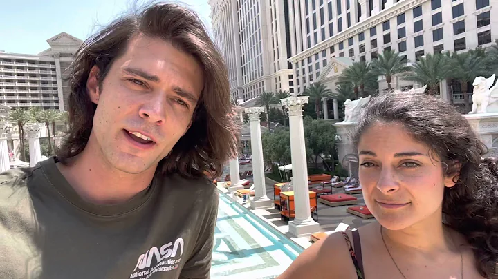 Update: Ivys Big Adventure (Las Vegas)