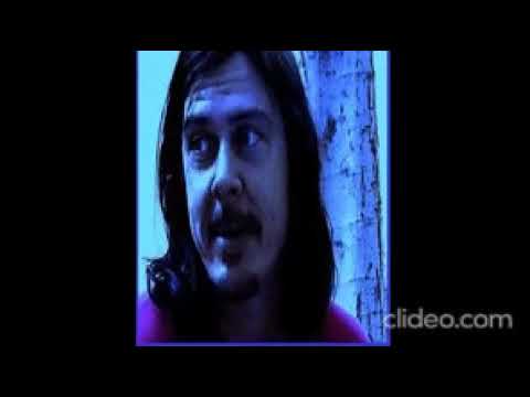 Butthole Surfers - Interview (1996)