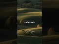 و ل ق د أ ر ي ن اه آي اتن ا ك ل ه ا ف ك ذ ب و أ ب ى ق ال أ ج ئ تن ا ل ت خ ر جن ام ن أ ر ضن ا