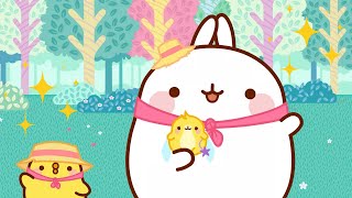 Molang and Piu Piu rescue a Cute Fairy 🧚| Funny Compilation For kids