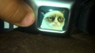 Grumpy Cat Buckle Down - Buckle Up Belt Review