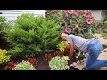 Garden Maintenance| Cutting Back Perennials | Planting Hydrangea | Cleaning Fountain | Gardenaddictz