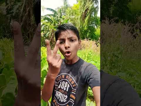 dost ke pet 😂mein chuhe🐀 kud rahe the #youtubeshorts #funny #trending #comedy