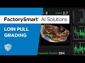 Factorysmart ai solutions meat processing  loin pull grading