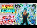 【SDBH】プレミアムURカード当たるまでレンコした結果…SEC ベジットがかっこよすぎた☆【スーパードラゴンボールヒーローズ UGM4弾 排出結果&配列】