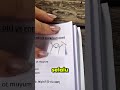 Guru Ini Ngasih Nilai Pakai Stickman 😭