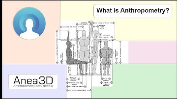 what is Anthropometry? | Anea 3d body scanner