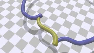 Torus Eversion Colorblind Friendly Version