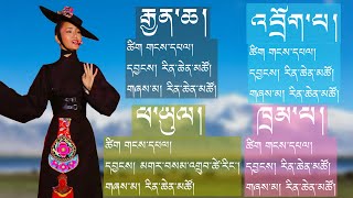 Tibetan Song| Rinchen Dolma Songs Collection| རིན་ཆེན་སྒྲོལ་མའི་གཞས་སྣ། | 2024