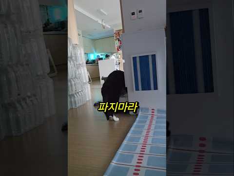 우리집 얼라들 와이랍니까 thumbnail