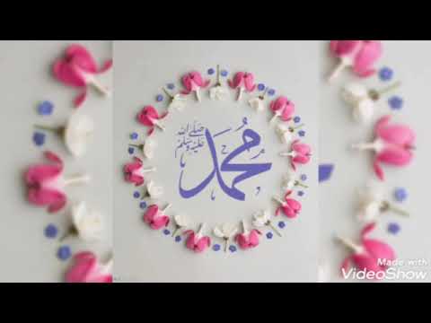 ولد الهدي قصيدة ولد الهدي فالكائنات ضياء لأحمد شوقي