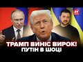 ⚡️ПРЯМО ЗАРАЗ! Трамп вийшов з НЕГАЙНОЮ ЗАЯВОЮ про Україну та Росію. Ці слова ЗДИВУВАЛИ усіх