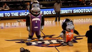 Inflatable Gorillas Dancing at Suns Celebrity Shootout 2012