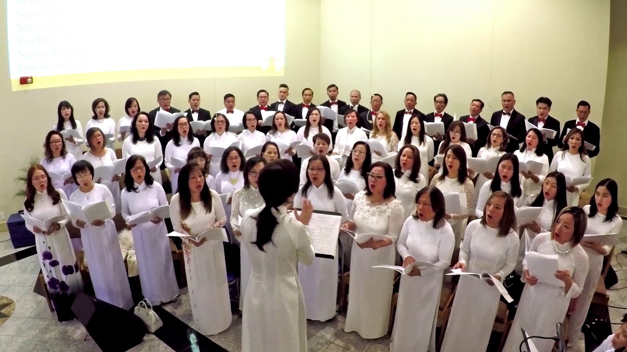 VMP VMC - Đêm Bình An