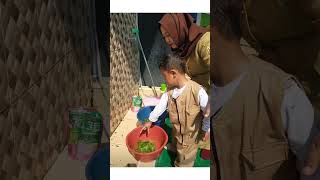 Memetik, Mencuci Dan Memasak Sayur Bayam