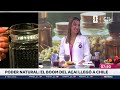 PODER NATURAL: Los beneficios del açai: Un superalimento antioxidante y antiinflamatorio