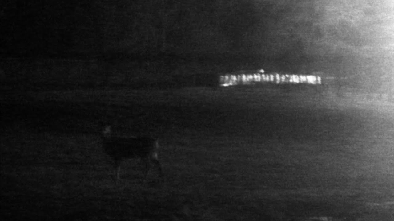 000004 (byway) [demo]