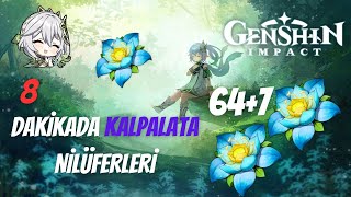 KALPALATA NİLÜFER BÖLGELERİ | EN VERİMLİ ROTALARI [GENSHIN IMPACT] TÜRKÇE