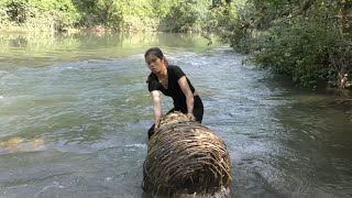 Catching Wild Fish - Survival Skills: Smart Girl Sets Unique Traps To Catch Fish In The River Ep37