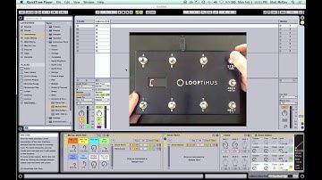 LOOPTIMUS Changing Octaves In Pad Mode