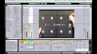 LOOPTIMUS Changing Octaves In Pad Mode