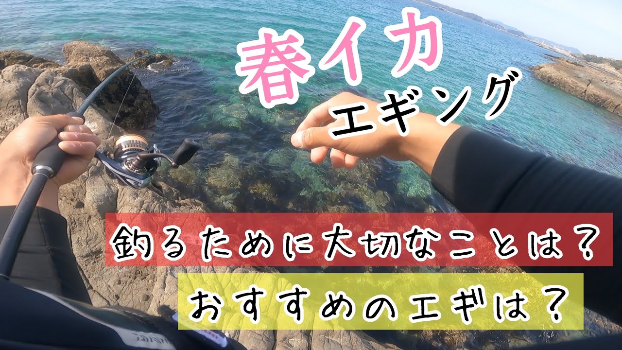 エギング 渋い春イカに効くエギはこれ エギングに大切な事も紹介 Youtube