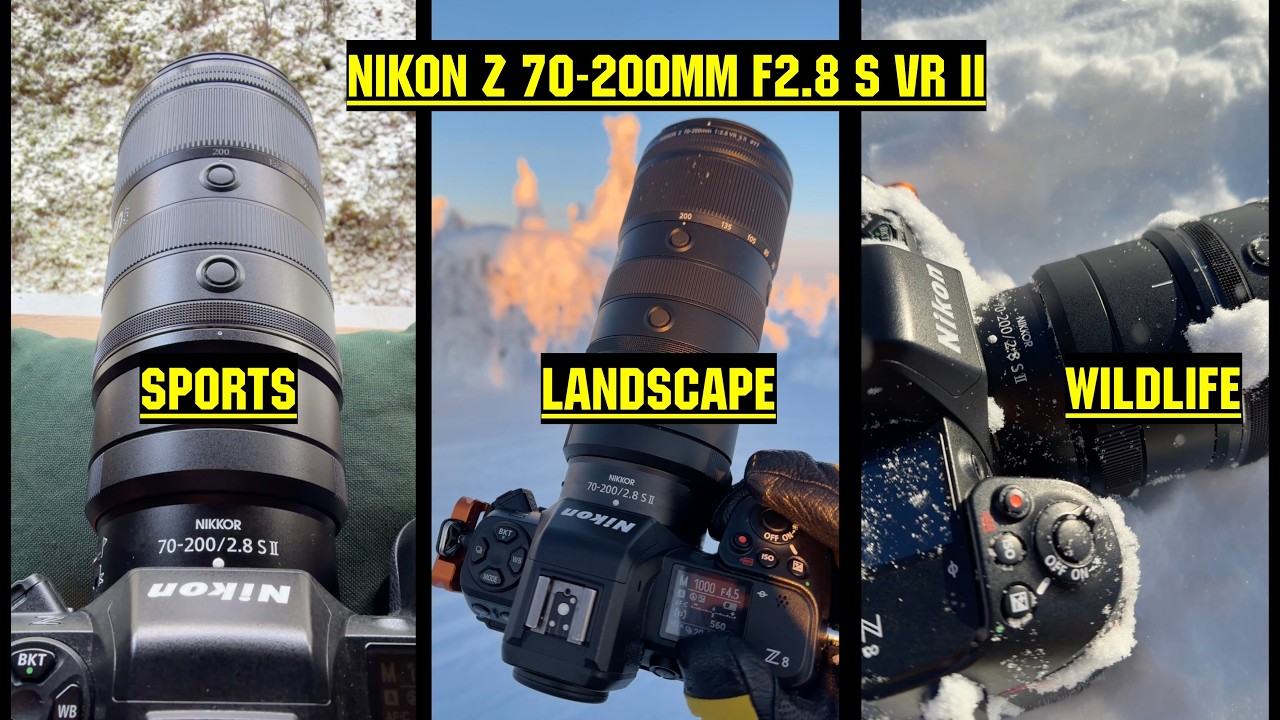 Nikon D850 & F-mount 70-200mm f2.8 combo in a Z World. Let F live