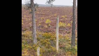 A Swedish Outdoor Classic