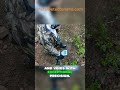OKM Rover C4 | 3D Ground Scanner &amp; Professional Metal Detector