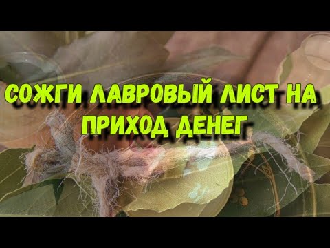 ЛАВРОВЫЙ ЛИСТ НА ДЕНЬГИ / Заговор на деньги