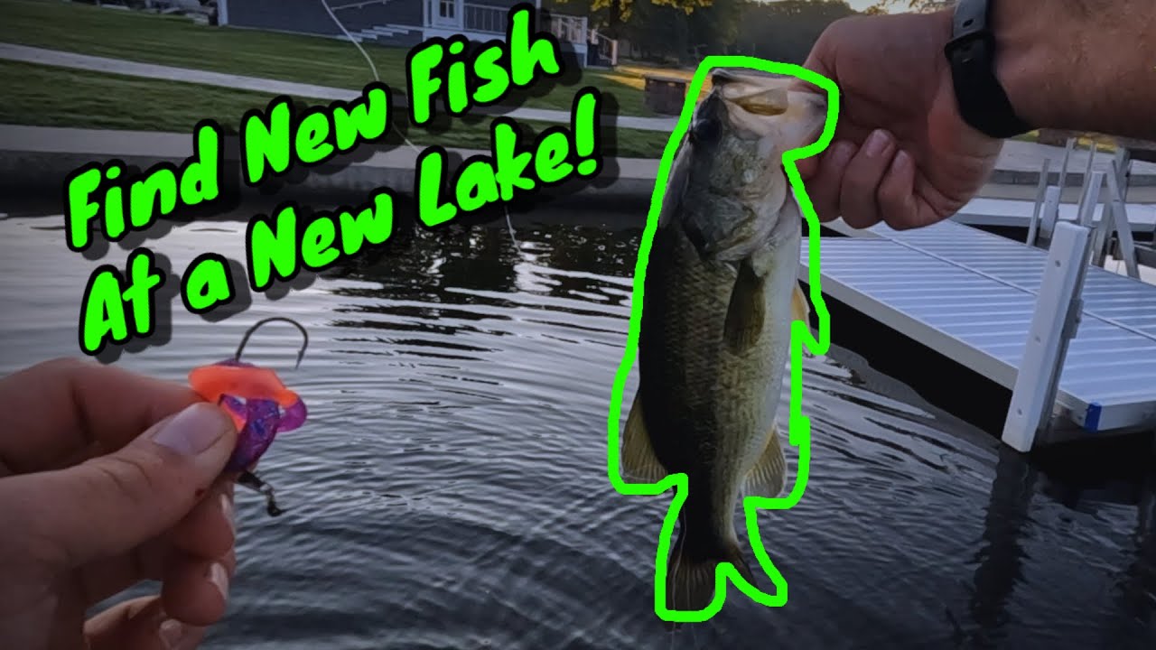 How I Find Fish When Fishing New Lake! Kayak Bass Fishing!