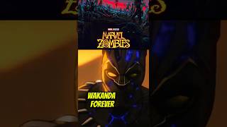 Marvels Final Goodbye To Black Panther