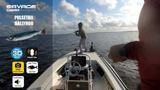 Savage Gear Pulse Tail Ballyhoo