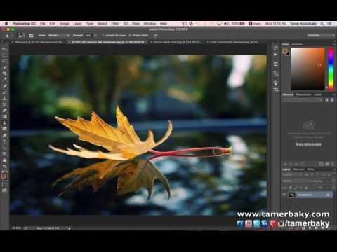 الدرس السابع عشر: أدوات تنقيح الصور Adobe Photoshop CC 2015