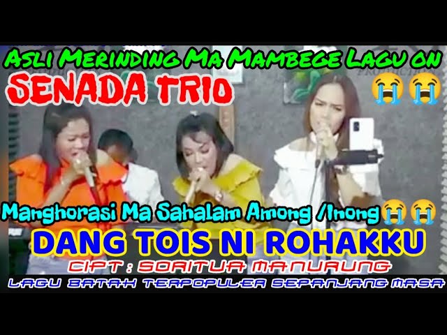  DANG TOIS NI ROHAKKU  Cover By SENADA TRIO - Cipt : Soritua Manurung @hangganeriksonchannel8093 class=