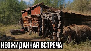 ТРИ МЕДВЕДЯ НА ТРОПЕ И ПЕРЕПРАВА ЧЕРЕЗ КАРАГЕМ | ЖИВАЯ ПРИРОДА АЛТАЯ | НОЧУЕМ В АЛТАЙСКОЙ ИЗБЕ