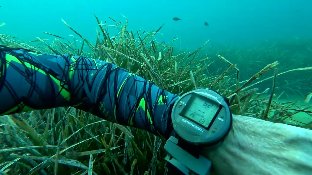 Buzo, Portitxol. Septiembre 2025