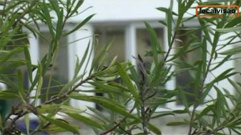 Cadastro Territorial Seia