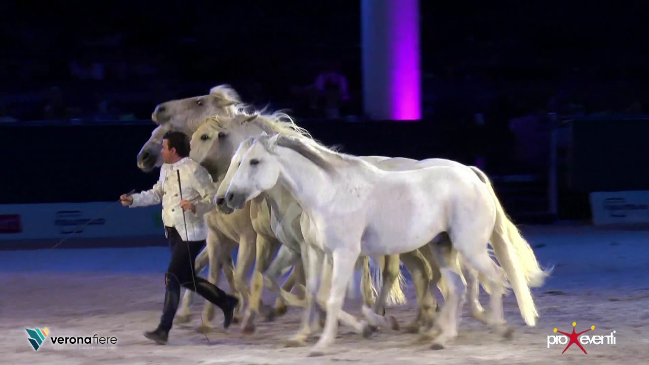 Vincent Liberator Gala d'Oro à Vérone