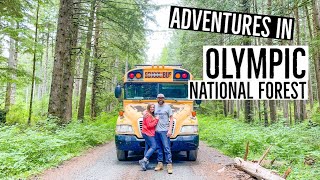 ADVENTURES IN OLYMPIC NATIONAL FOREST || 2021 Bus Life - Ep 24 || TaleOfTwoSmittys by Tale Of Two Smittys 859 views 2 years ago 17 minutes