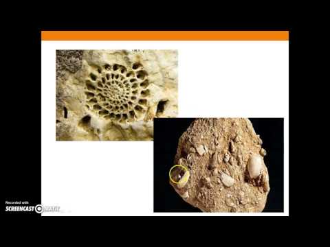 Video: Differenza Tra Rocce Metamorfiche E Rocce Sedimentarie