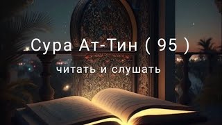 Сура Ат-Тин ( 95 )