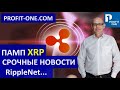 ПАМП XRP - Срочные новости! Ripple отвечает SEC | XRP 50% роста!