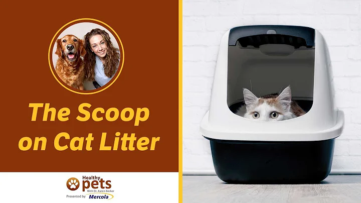 The Scoop on Cat Litter